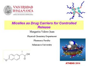 Micelles as Drug Carriers for Controlled Release Margarita