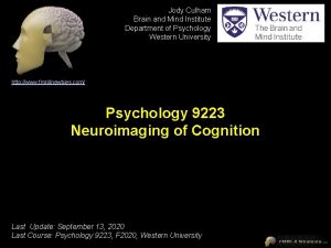 Jody Culham Brain and Mind Institute Department of