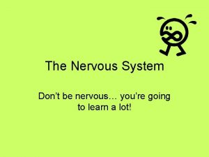 The Nervous System Dont be nervous youre going