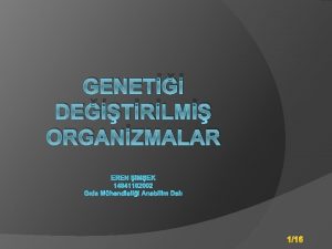 GENET DETRLM ORGANZMALAR EREN MEK 14041102002 Gda Mhendislii