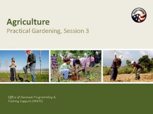 Agriculture Practical Gardening Session 3 Office of Overseas