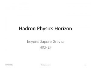 Hadron Physics Horizon beyond Sapore Gravis HICHEF 09092021