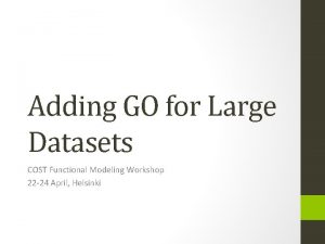 Adding GO for Large Datasets COST Functional Modeling