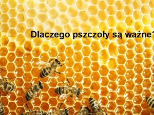 Dlaczego pszczoy s wane W Polsce yje ponad
