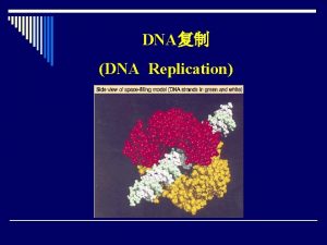 DNA DNA Replication Replisome DNA The multi protein