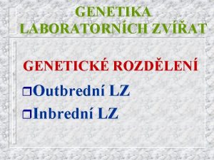 GENETIKA LABORATORNCH ZVAT GENETICK ROZDLEN r Outbredn LZ