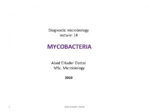 Diagnostic microbiology lecture 14 MYCOBACTERIA Abed El Kader