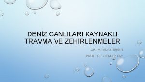 DENZ CANLILARI KAYNAKLI TRAVMA VE ZEHRLENMELER DR M