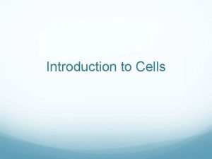 Introduction to Cells Discovery of Cells The Cell