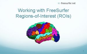 freesurfer net Working with Free Surfer RegionsofInterest ROIs