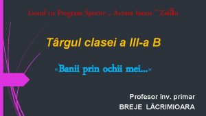 Liceul cu Program Sportiv Avram Iancu Zalu Trgul