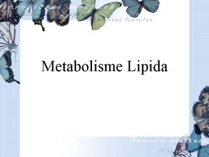 Metabolisme Lipida Terminologi Metabolisme Lipida Lipogenesis Membentuk lemak