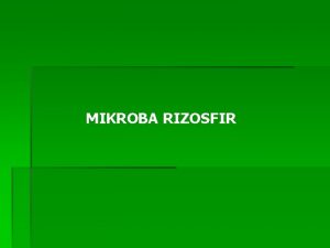 MIKROBA RIZOSFIR Istilah Rizosfir pertama kali diperkenalkan olah
