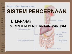 SISTEM PENCERNAAN 1 MAKANAN 2 SISTEM PENCERNAAN MANUSIA