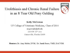 Urolithiasis and Chronic Renal Failure in an 8