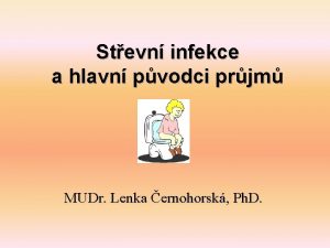 Stevn infekce a hlavn pvodci prjm MUDr Lenka