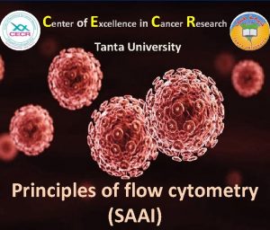 Center of Excellence in Cancer Research Tanta University