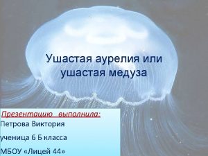 https ru wikipedia orgwiki http www molomo ruinquirydangerouscreatures