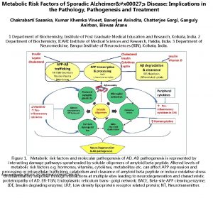 Metabolic Risk Factors of Sporadic Alzheimerx 00027 s