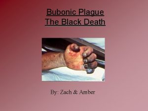 Bubonic Plague The Black Death By Zach Amber