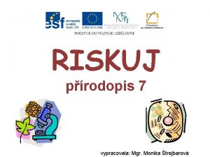 RISKUJ prodopis 7 vypracovala Mgr Monika trejbarov Hmyz