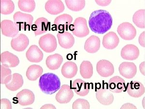 The Magic of Lymphocyte s Cells that take