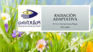 RADIACIN ADAPTATIVA M En C Martha Corona Tinoco