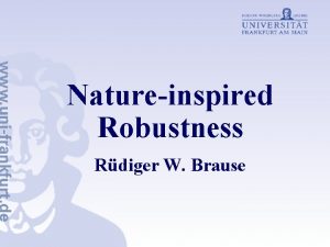 Natureinspired Robustness Rdiger W Brause Introduction Robustness NOT
