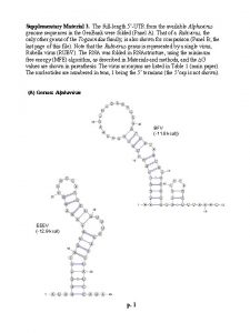 Supplementary Material 3 The fulllength 5UTR from the