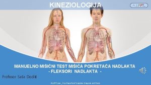 KINEZIOLOGIJA MANUELNO MIINI TEST MIIA POKRETAA NADLAKTA FLEKSORI