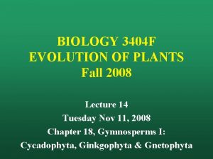 BIOLOGY 3404 F EVOLUTION OF PLANTS Fall 2008