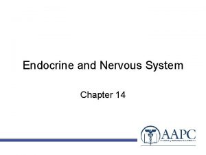 Endocrine and Nervous System Chapter 14 CPT copyright