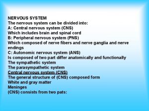 NERVOUS SYSTEM The nervous system can be divided