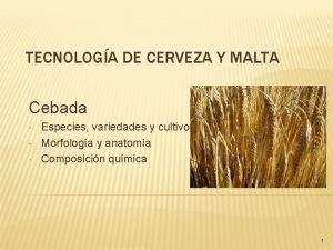 TECNOLOGA DE CERVEZA Y MALTA Cebada Especies variedades