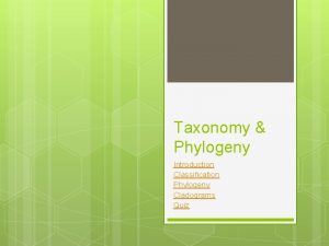 Taxonomy Phylogeny Introduction Classification Phylogeny Cladograms Quiz In