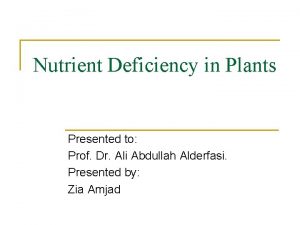Nutrient Deficiency in Plants Presented to Prof Dr