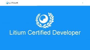 1 Litium Certified Developer 2 Websites 3 Domain