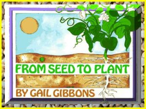 Story and pictures by Gail Gibbons Summary This