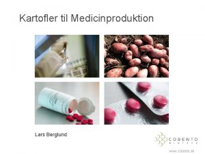 Kartofler til Medicinproduktion Lars Berglund www cobento dk