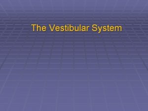 The Vestibular System Anatomy of the ear Anatomy