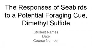 The Responses of Seabirds to a Potential Foraging