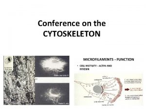 Conference on the CYTOSKELETON CYTOSKELETON NONMEMBRANOUS ORGANELLES MICROTUBULES