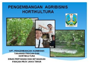 PENGEMBANGAN AGRIBISNIS HORTIKULTURA UPT PENGEMBANGAN AGRIBISNIS TANAMAN PANGAN