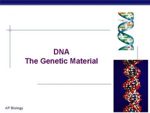 DNA The Genetic Material AP Biology 2006 2007