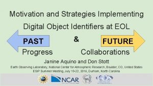 Motivation and Strategies Implementing Digital Object Identifiers at