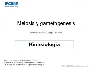 Meiosis y gametogenesis Professor Vernica Pantoja Lic MSP