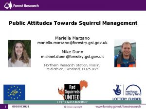 Public Attitudes Towards Squirrel Management Mariella Marzano mariella