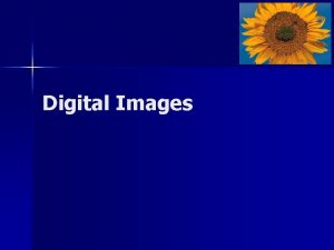 Digital Images Analog versus bitmap images n n