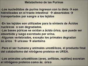 Metabolismo de las Purinas Los nucletidos de purina