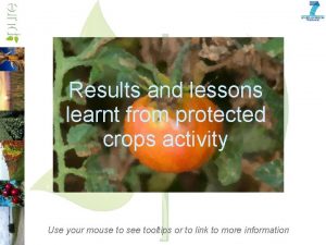 Results and lessons learnt from protected crops activity